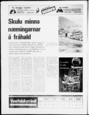 Síða 20