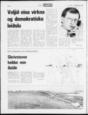 Síða 2