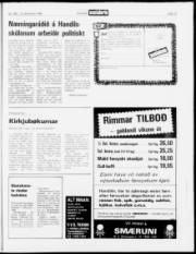 Síða 13