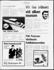 Síða 15