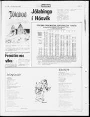 Síða 19