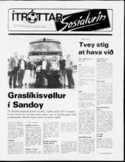 Síða 13