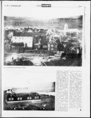 Síða 17