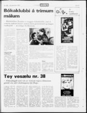 Síða 23