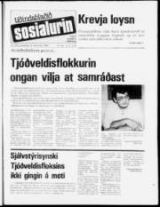 Síða 1