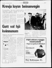 Síða 7