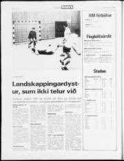 Síða 12