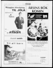 Síða 17
