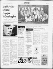 Síða 19