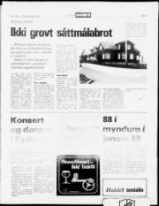 Síða 5