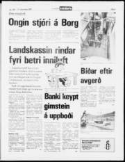 Síða 5