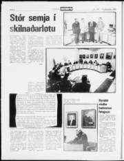 Síða 8