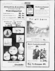 Síða 21