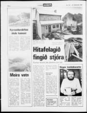 Síða 2
