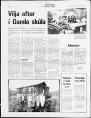 Síða 4