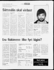 Síða 13