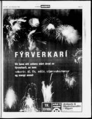 Síða 17