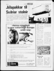 Síða 22