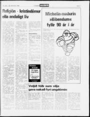Síða 17