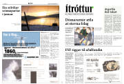 Síða 12