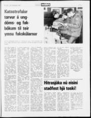 Síða 21