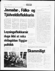 Síða 3
