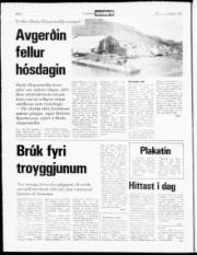 Síða 4