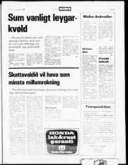 Síða 5