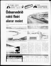 Síða 20