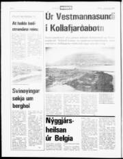 Síða 2