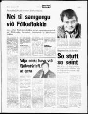 Síða 3