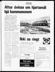 Síða 5