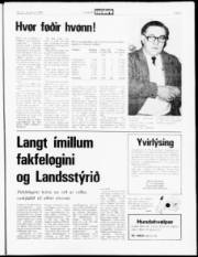 Síða 7