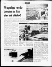 Síða 8