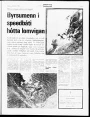 Síða 9