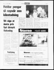 Síða 11