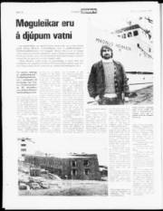 Síða 12