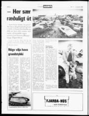 Síða 2