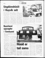 Síða 4