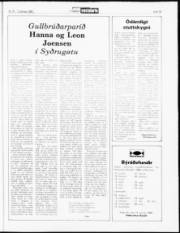 Síða 19