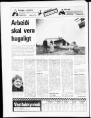 Síða 24