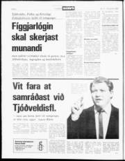 Síða 2