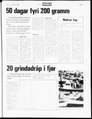 Síða 5