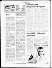 Síða 6