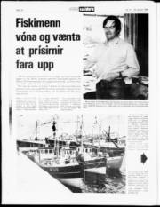 Síða 14