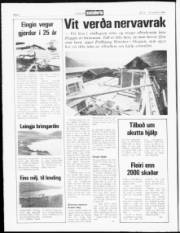 Síða 2