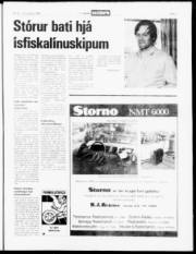 Síða 7
