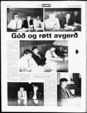 Síða 8