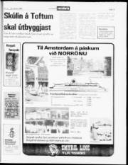 Síða 13