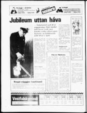 Síða 20